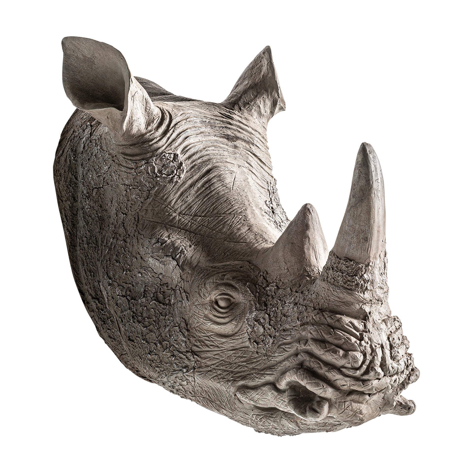 RINOCERONTE BUST
